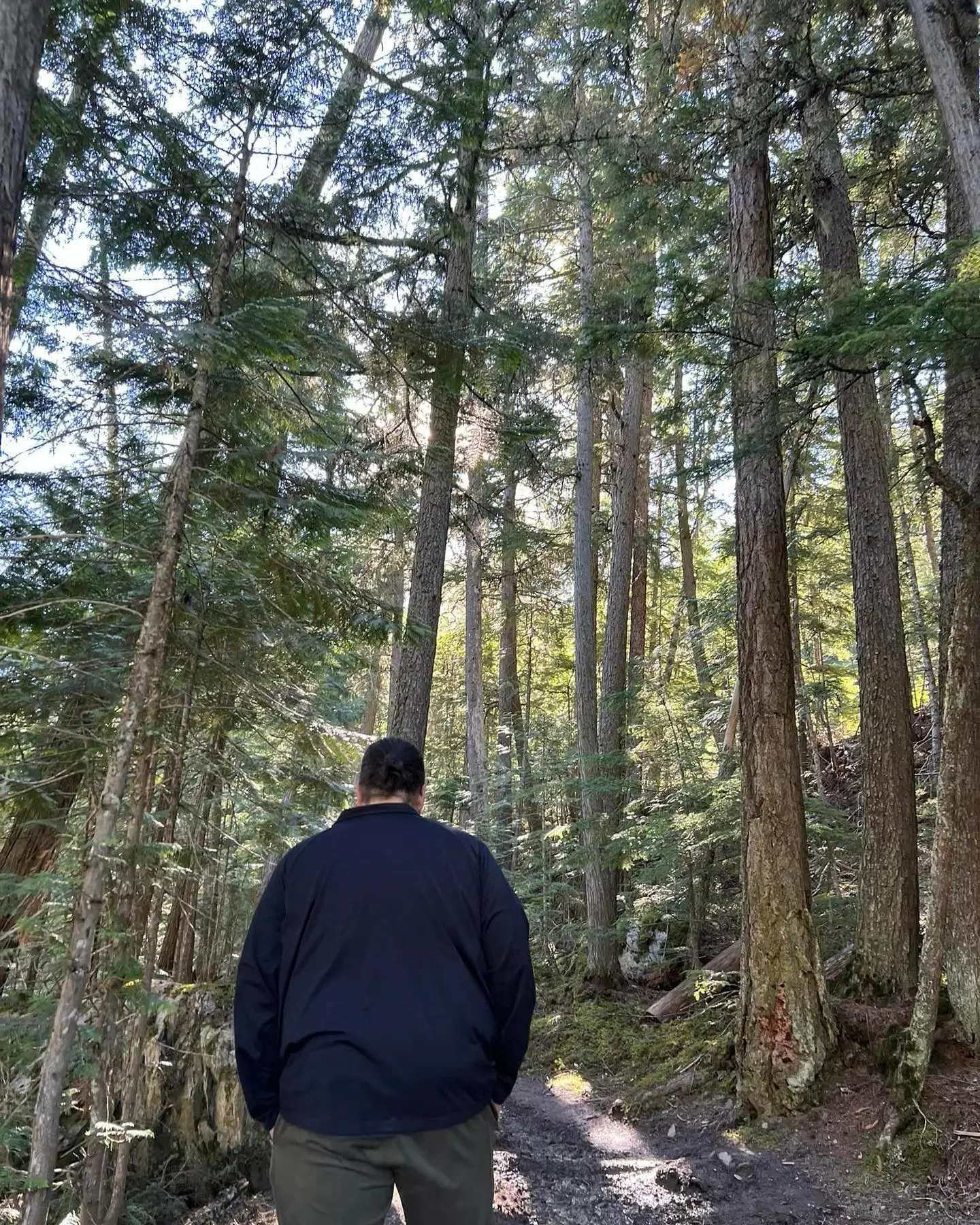 Dr James walking in the woods