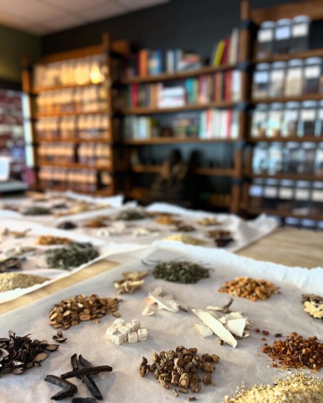 SATURDAY @ 1PM!! Come learn all about herbs!! 

🍵 Think Nerdy Girl Tea Tasting... but Medicinal! 🍵

Join us for our first Herbal Tasting Event at Jing Shen Healing Arts, hosted by our Doctors of Acupuncture and Chinese Medicine. Discover the flavors and benefits of traditional Chinese herbal formulas specially chosen to support your immune health through the fall and winter months.

✨When: Saturday, November 16th at 1pm | FREE 
✨Where: Jing Shen Healing Arts | 322 2nd St West

Sample a selection of mild, accessible formulas—including one you can cook into a nourishing medicinal soup at home! 

This is a fun and informative way to experience the world of Chinese herbs—ideal for anyone curious about traditional medicine with a modern twist.